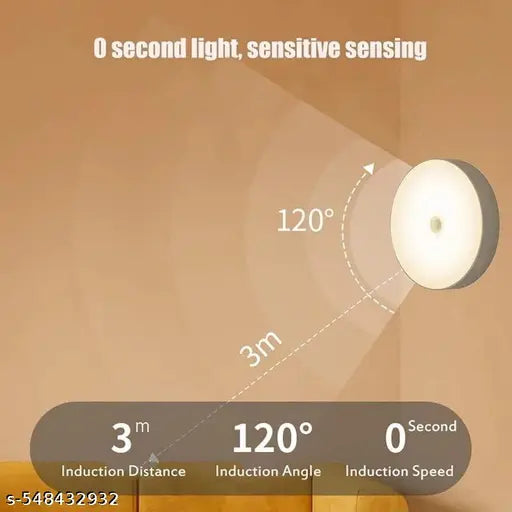 Motion Sensor Light for Home